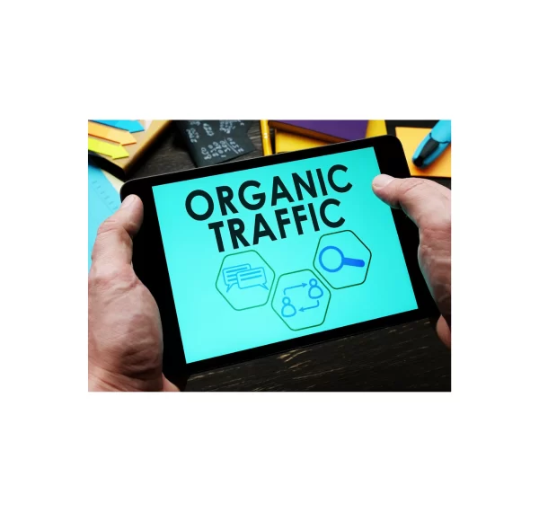 Organic Acceleration – How I turned $20 to 7 figures with Organic Traffic