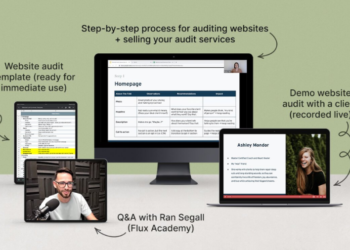 Danbee Shin – Website Audit Masterclass